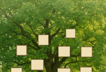 10 motivos para comecar sua arvore