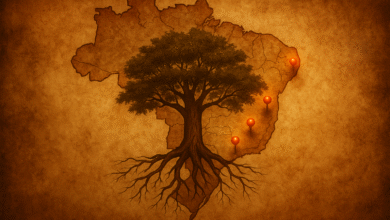 os rolim espalhado no Brasil